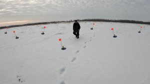 Начал проверять жерлицы.. И сам не поверил! Щуки ели проходять в лунки!