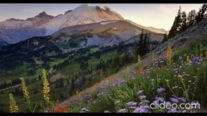 Хвала Тебе хвала!