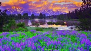 Любовь... Айше