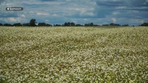Сергей Зайков о глобальном голоде и его последствиях