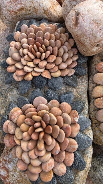 Каменные цветы видели?Я впервые!🏵