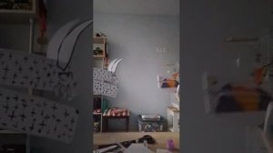 показываем драконов из бумаги