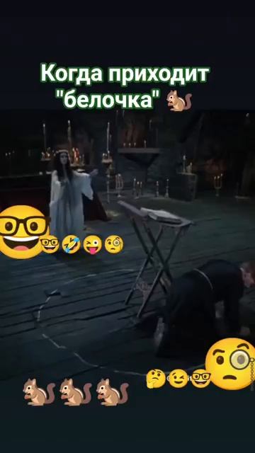 Здравствуй белочка 🐿️