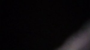 Портрет работы Пабло Пикассо