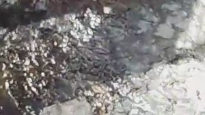 Субботний день!