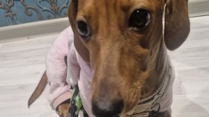 прогулка в парк