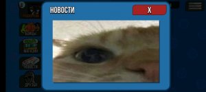 Магазин тпирс
///!!!