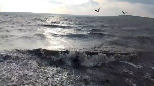 Керчь   "санаторий Москва Крым" 2024