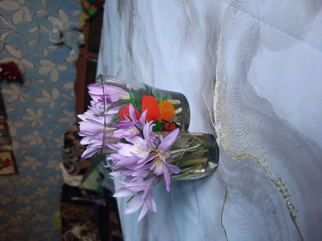 обзор деревенского дома