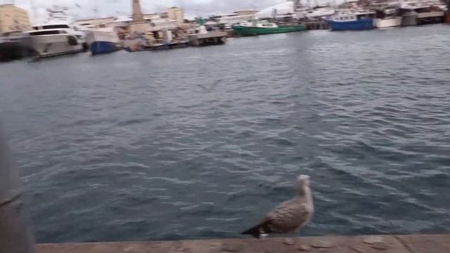 Барселона в порту смотреть онлайн