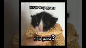 когда родился