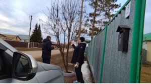 ЖИЗНЬ В СЕЛЕ:НЕМНОГО РЯБИНКУ ПОДСТРИГЛИ