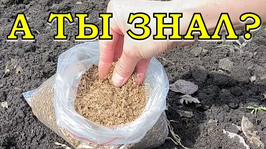 16 ХОЛОДОСТОЙКИХ культур...первые посевы в грунт🌱🌱🌱