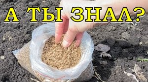 16 ХОЛОДОСТОЙКИХ культур...первые посевы в грунт🌱🌱🌱