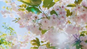 Зейнеп & Серхат № 3