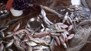 Цены на рынке. Закуп на ужин