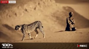 Ruff Style feat. Bass Reflex - Fall In Love (Martik C Rmx) [100% Made For You]