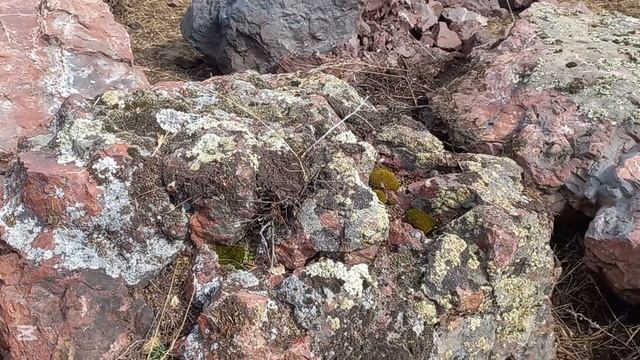 Яшма ландшафтные валуны красные (2)