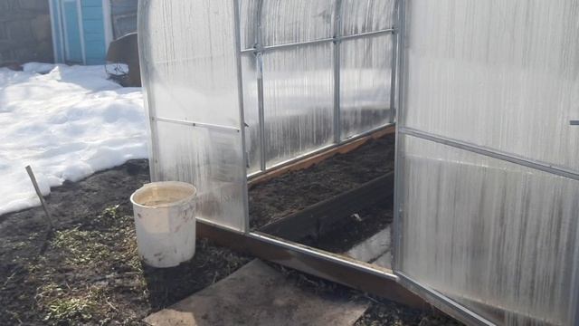 28 марта//соседи поплыли//посеяла капусту//