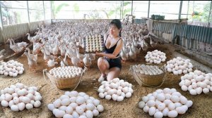 Собрала на ферме много утиных яиц и отправляюсь продавать их на сельский рынок. Нхат. Вьетнам