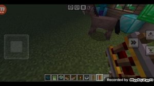 зашита дома самого богатого изумрудного жителя