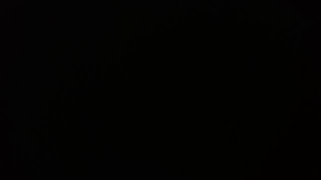 игрушки и вкусняшки