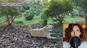 Соль на свадебном торте.