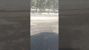 выход из кафе