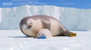 Морские Котики: Самые милые сорванцы - Подборка эпизодов