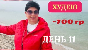 28.03.26 Худею. День 11. Что я ем⁉️ Чистосердечное признание Каспера! Туманное море
