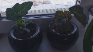 ✅️Опять пришла суббота!