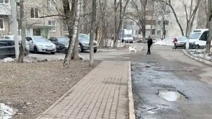 ДОМОСЕДА БОЯТЬСЯ В РУТУБ НЕ ХОДИТЬ