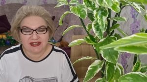 5 часть. Кучина кровать тёплая лишь от перд@жа❗️