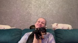 У нас проблемы с интернетом, но пытаемся выходить из ситуации.