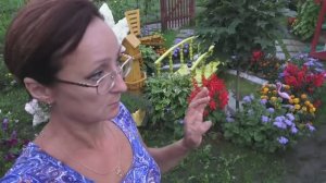 Видео привет с 6 соток 12 августа 2021 года