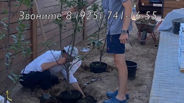 Ландшафтный дизайн