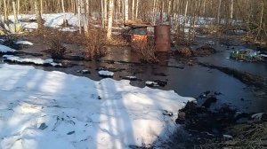 ВСЕМИРНЫЙ ПОТОП‼️ЧТО НАС ЖДЁТ