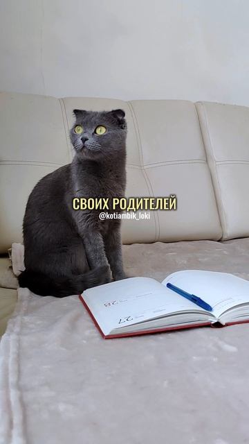 Когда на перемене представила себя учителем😸