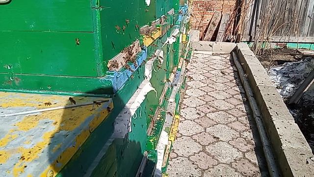 28 марта 26 года