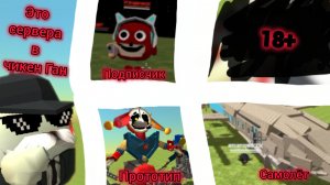 это сервера. в Чикен Ган в 2026 году   (встретил подписчика!)