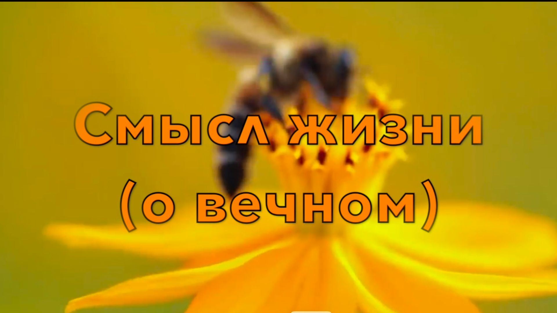 Смысл жизни