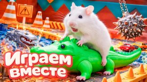 ХОМЯК ВЫБИРАЕТСЯ ИЗ СЕКРЕТНОЙ ХОМЯЧЕЙ ТЮРЬМЫ 🏁🐹🏆 Помогаем выбраться из лабиринта ! ч.5