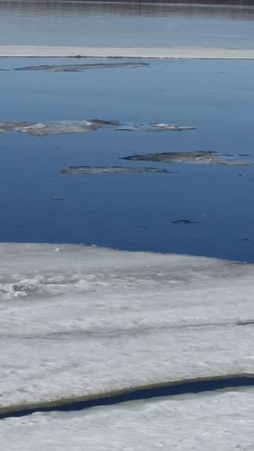 Остатки ледохода