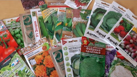 Что сажать в апреле 2026 🌱 Полный список овощей, зелени и цветов для посадки