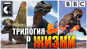 Трилогия о жизни / Trilogy of Life (2005)