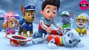 Щенячий патруль и Маршалл. Залипательное видео. Мультфильм для детей и малышей. Анимация 424