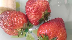 Мой обед 28.03.