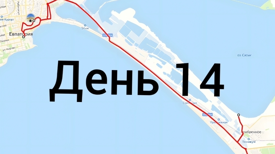 день 14