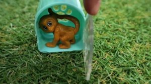 Аист заболел, и альбатрос всё перепутал! Чейз спешит на помощь!