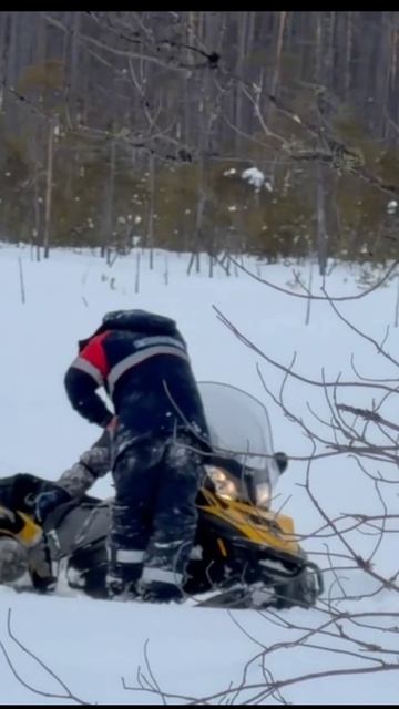 Ski-Doo не смог